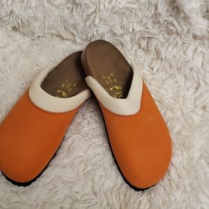 Birkenstocks papillio